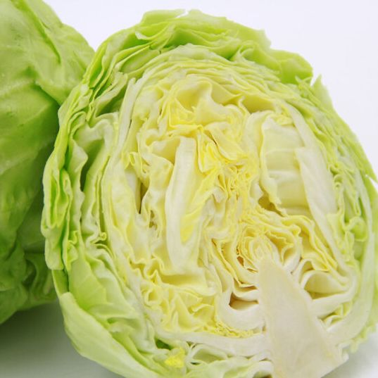 卷心菜